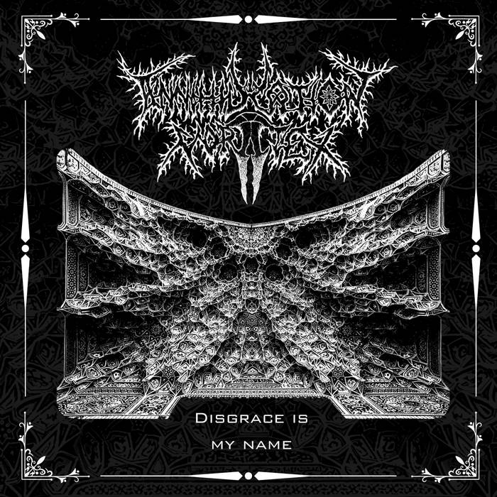 ANNIHILATION VORTEX Disgrace Is My Name CD