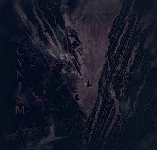 RAWRORR Cynicism CD