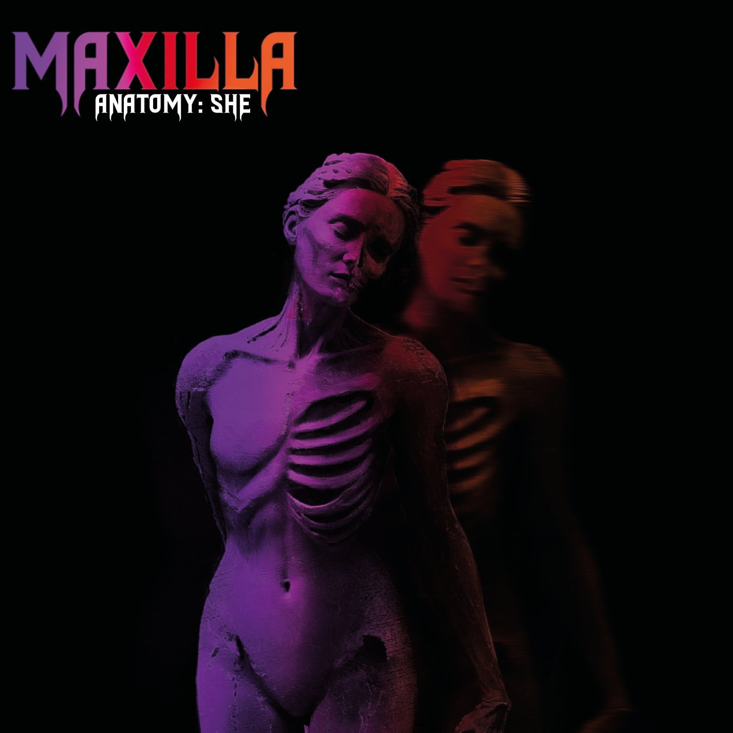MAXILLA Anatomy: She CD