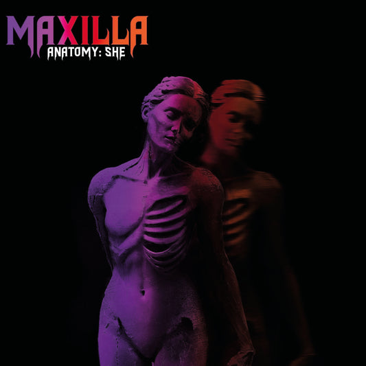 MAXILLA Anatomy: She CD