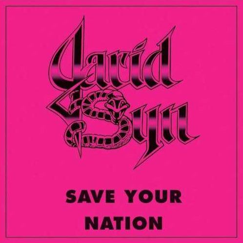 JARID SYN Save Your Nation CD